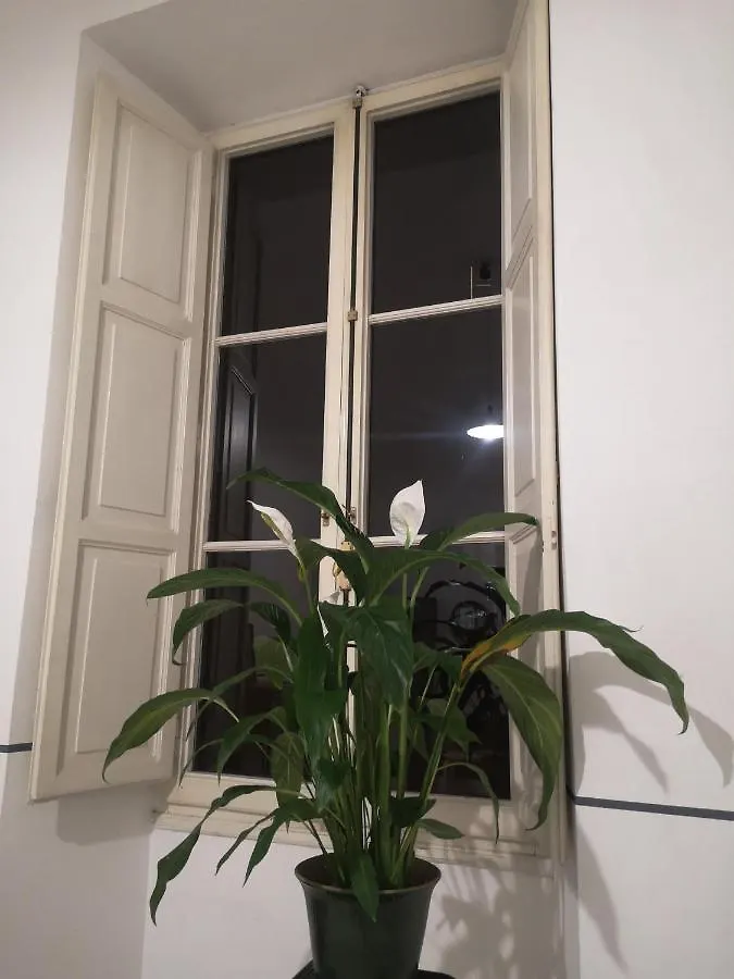 Romeo. Luminoso Appartamento Al Centro Di Roma